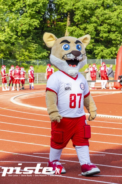 Cougars vs. Düsseldorf