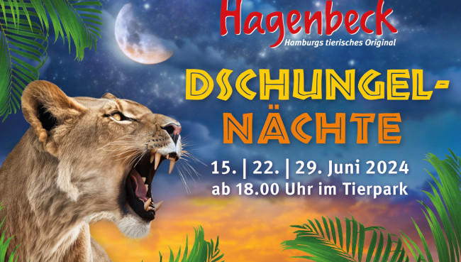Hagenbecks Dschungel-Nächte: Ticketverkauf gestartet