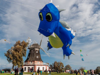 Drachenfest Klütz