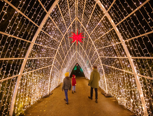 Christmas Garden Hamburg