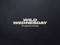 Wild Wednesday